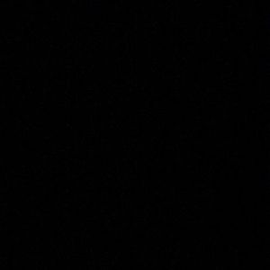 Meet your Posher, Jorja